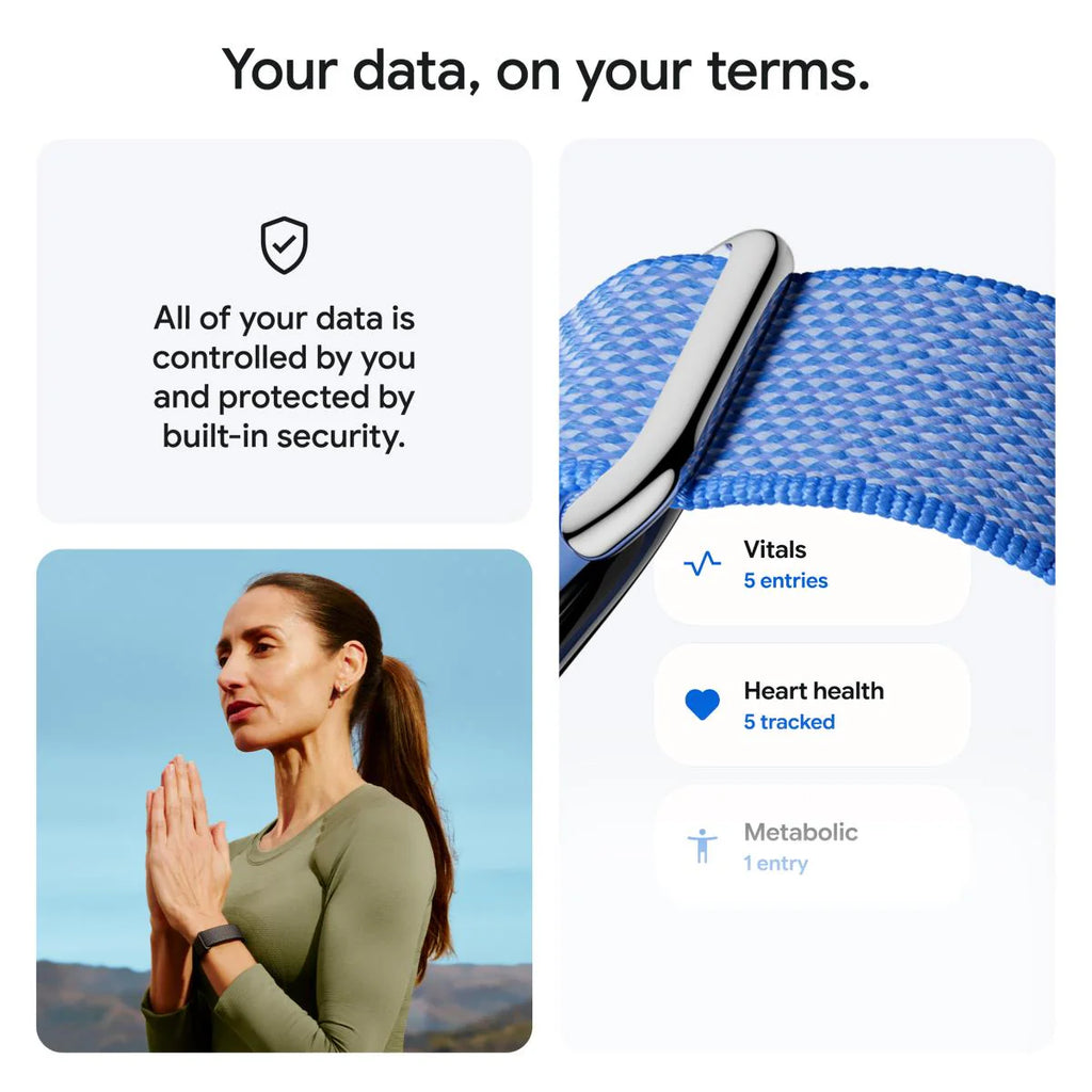Google Fitbit Air (Berry)