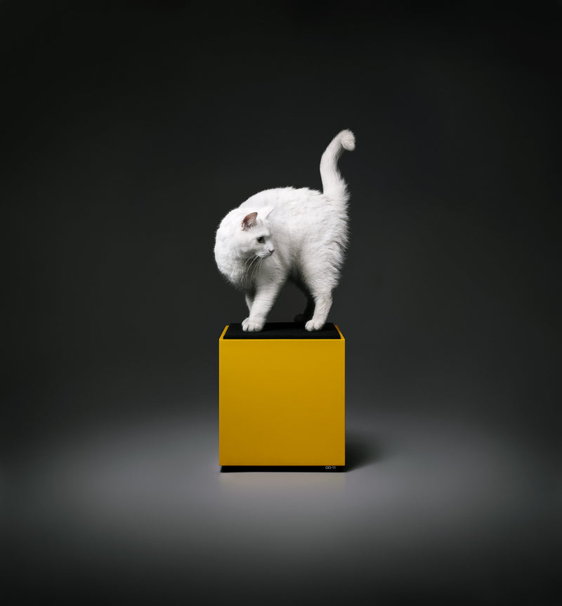 Teenage Engineering OD-11